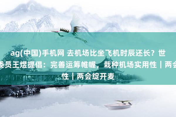 ag(中国)手机网 去机场比坐飞机时辰还长？世界政协委员王煜提倡：完善运筹帷幄，栽种机场实用性｜两会绽开麦