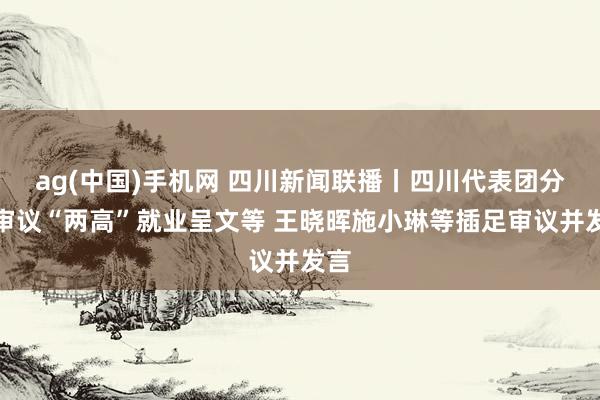 ag(中国)手机网 四川新闻联播丨四川代表团分组审议“两高”就业呈文等 王晓晖施小琳等插足审议并发言