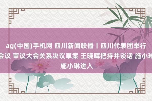 ag(中国)手机网 四川新闻联播丨四川代表团举行合座会议 审议大会关系决议草案 王晓晖把持并谈话 施小琳进入