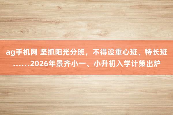ag手机网 坚抓阳光分班，不得设重心班、特长班……2026年景齐小一、小升初入学计策出炉