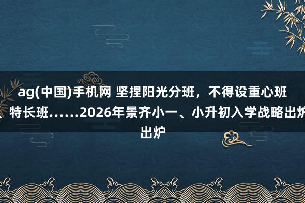 ag(中国)手机网 坚捏阳光分班，不得设重心班、特长班……2026年景齐小一、小升初入学战略出炉