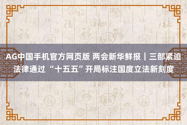 AG中国手机官方网页版 两会新华鲜报｜三部紧迫法律通过 “十五五”开局标注国度立法新刻度