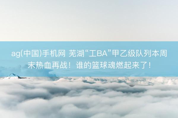ag(中国)手机网 芜湖“工BA”甲乙级队列本周末热血再战！谁的篮球魂燃起来了！