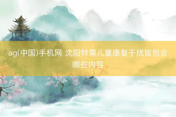 ag(中国)手机网 沈阳特需儿童康复干扰皆包含哪些内容