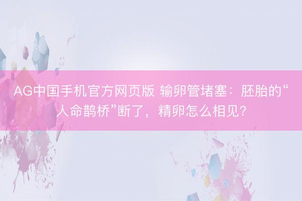 AG中国手机官方网页版 输卵管堵塞：胚胎的“人命鹊桥”断了，精卵怎么相见？