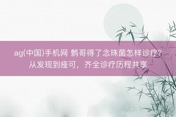 ag(中国)手机网 鹩哥得了念珠菌怎样诊疗？从发现到痊可，齐全诊疗历程共享