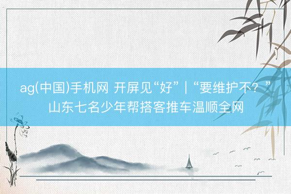 ag(中国)手机网 开屏见“好”｜“要维护不？”山东七名少年帮搭客推车温顺全网