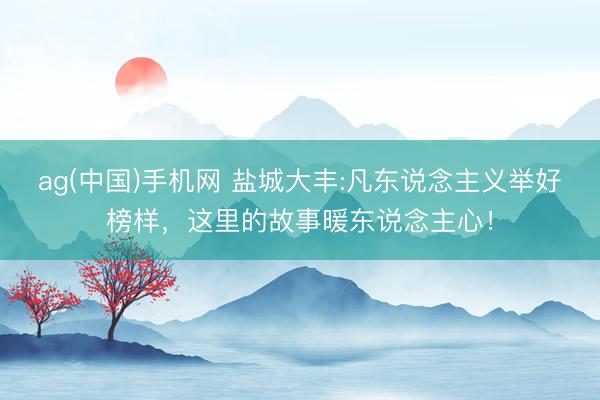 ag(中国)手机网 盐城大丰:凡东说念主义举好榜样，这里的故事暖东说念主心！