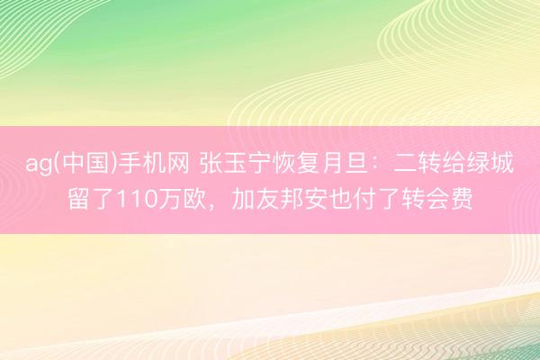 ag(中国)手机网 张玉宁恢复月旦：二转给绿城留了110万欧，加友邦安也付了转会费
