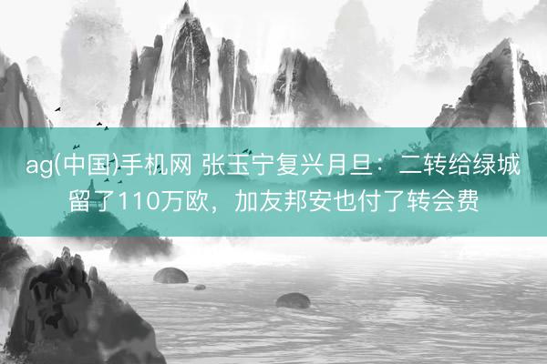 ag(中国)手机网 张玉宁复兴月旦：二转给绿城留了110万欧，加友邦安也付了转会费