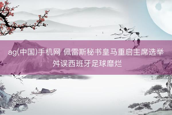 ag(中国)手机网 佩雷斯秘书皇马重启主席选举 舛误西班牙足球靡烂