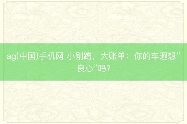 ag(中国)手机网 小剐蹭，大账单：你的车遐想“良心”吗？
