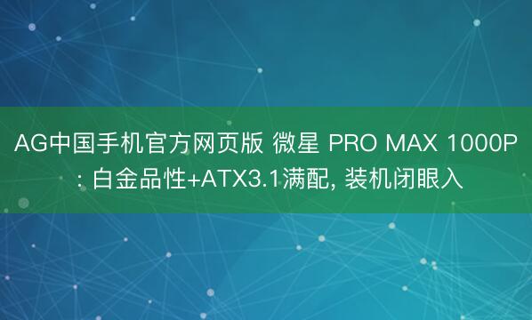 AG中国手机官方网页版 微星 PRO MAX 1000P : 白金品性+ATX3.1满配， 装机闭眼入