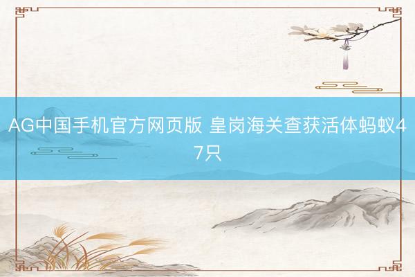 AG中国手机官方网页版 皇岗海关查获活体蚂蚁47只