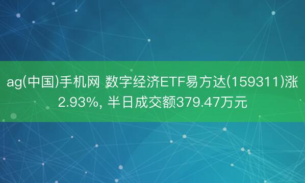 ag(中国)手机网 数字经济ETF易方达(159311)涨2.93%， 半日成交额379.47万元