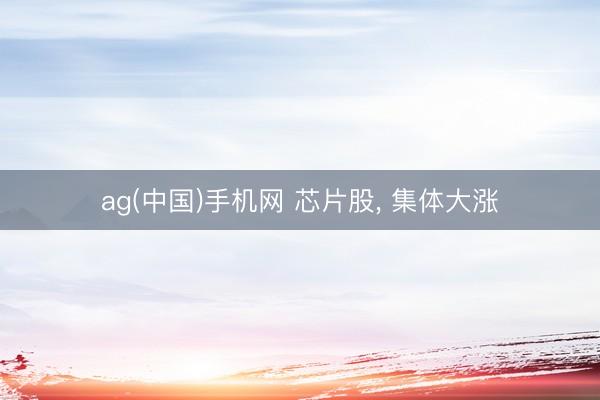 ag(中国)手机网 芯片股， 集体大涨