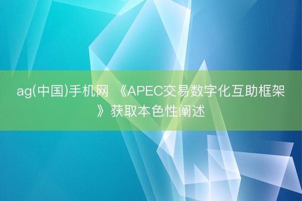 ag(中国)手机网 《APEC交易数字化互助框架》获取本色性阐述