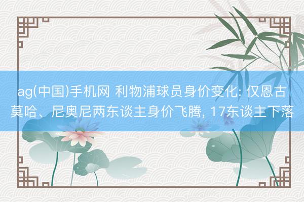 ag(中国)手机网 利物浦球员身价变化: 仅恩古莫哈、尼奥尼两东谈主身价飞腾， 17东谈主下落